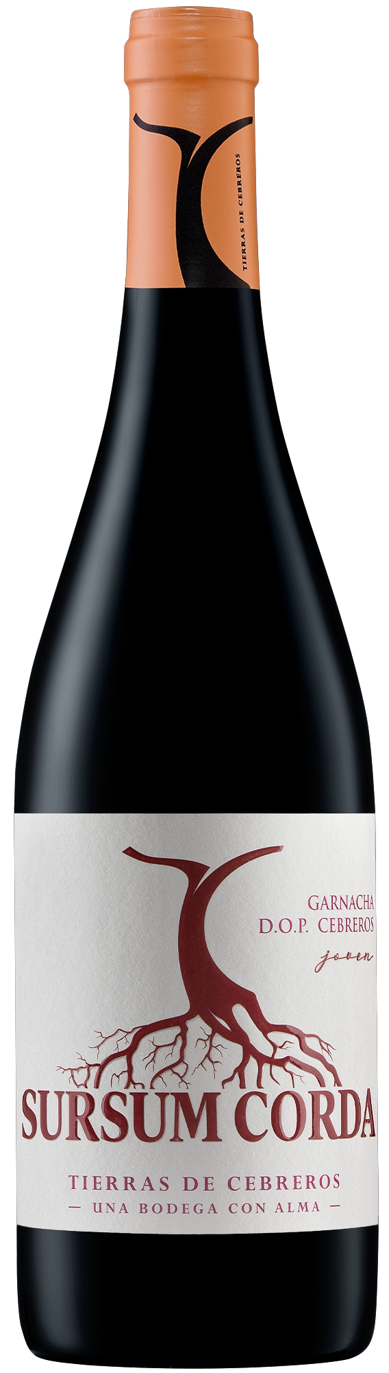 Sursum Corda Joven Garnacha DOP Cebreros 750 ml