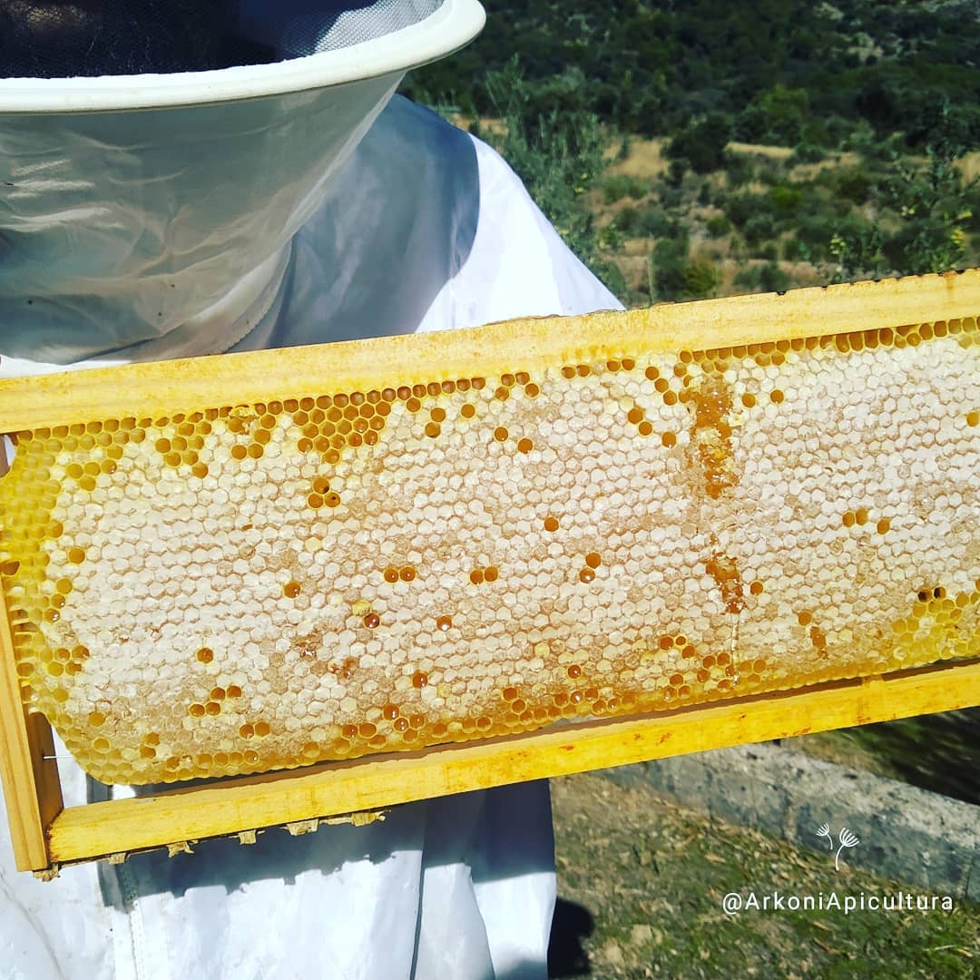 Santuario de las Abejas Arkoni