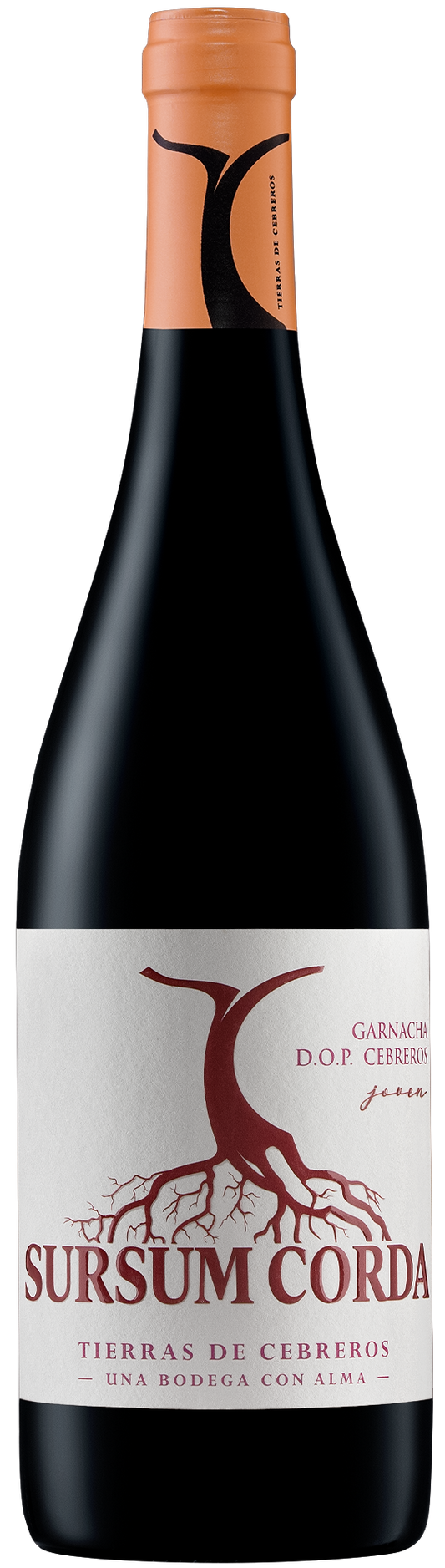Sursum Corda Joven Garnacha DOP Cebreros 750 ml