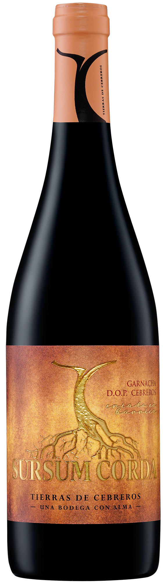 Sursum Corda Crianza Garnacha DOP Cebreros 750 ml