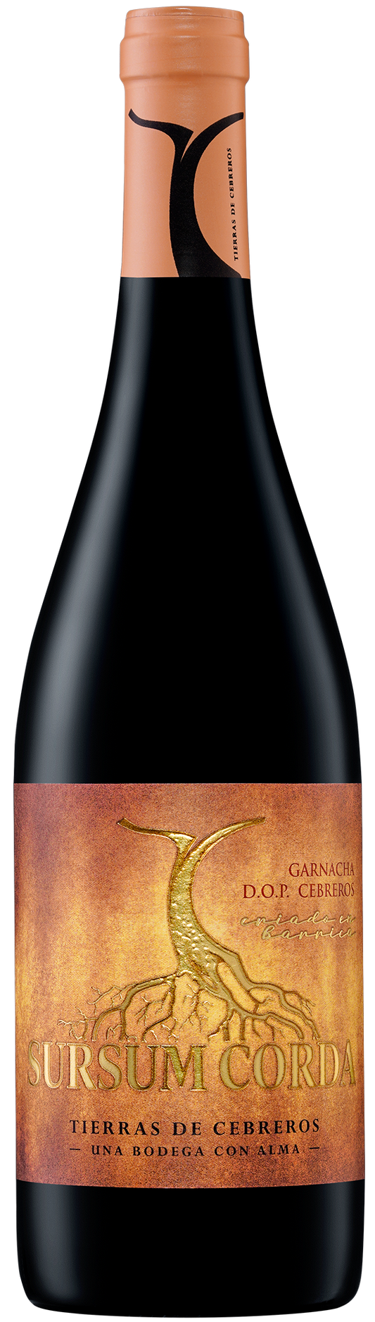 Sursum Corda Crianza Garnacha DOP Cebreros 750 ml