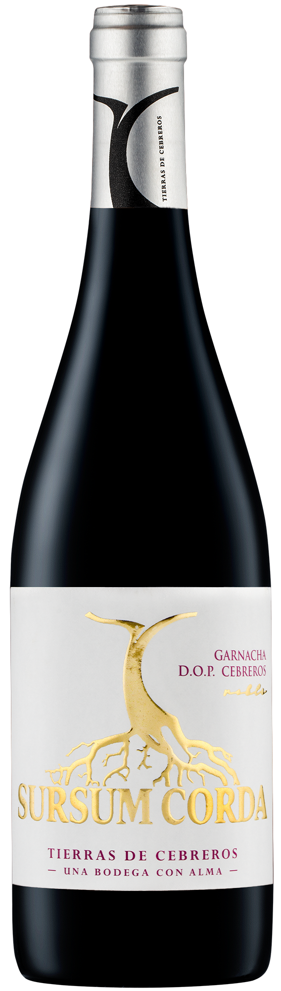 Sursum Corda Roble 4 Meses Garnacha DOP Cebreros 750 ml