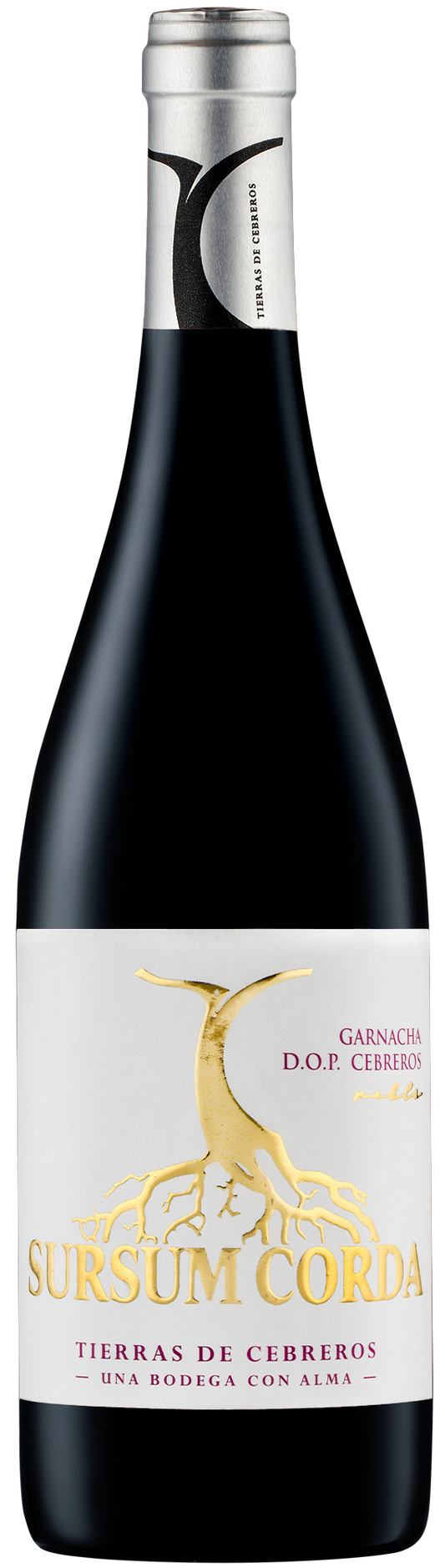 Sursum Corda Roble 4 Meses Garnacha DOP Cebreros 750 ml