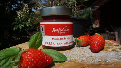 Mermelada de Fresa con Albahaca | Mermelicias de Gredos 230 g