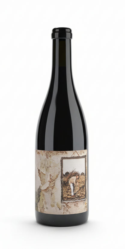Vino Black Dog Gredos