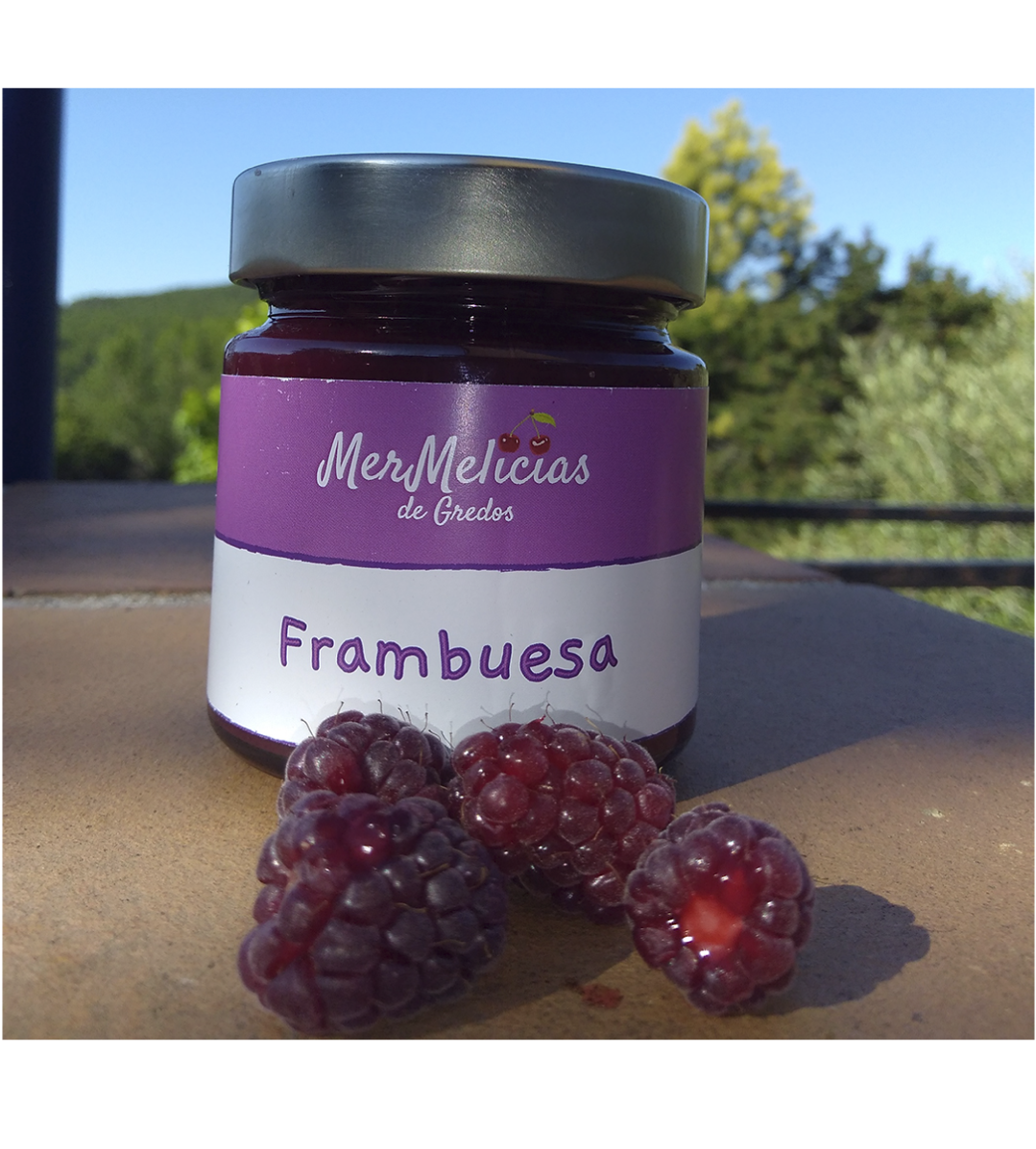 Mermelada de Frambuesa | Mermelicias de Gredos 230 g