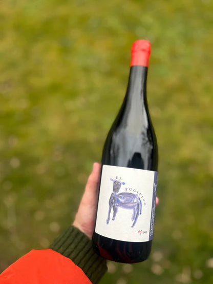 El Fugitivo 2025 – Vino de Montaña
